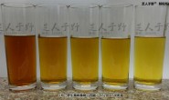 野生桑树桑黄煮水是什么颜色?