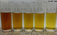 野生桑树桑黄煮水是什么颜色？